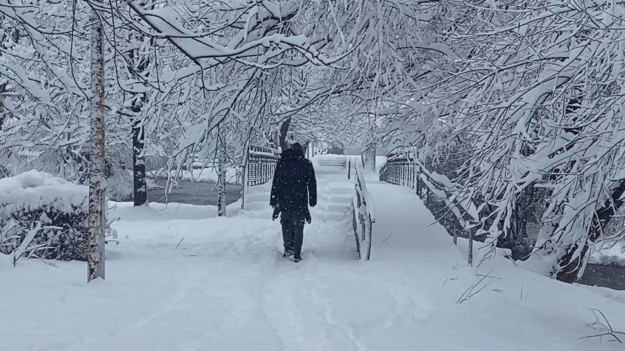 Ledeno jutro u Crnoj Gori - Avaz
