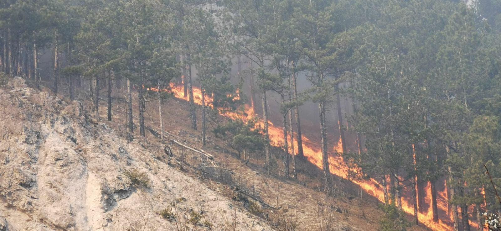 Nekontroliranim paljenjem korovskog otpada mogućnost nastanka šumskog požara je povećana - Avaz