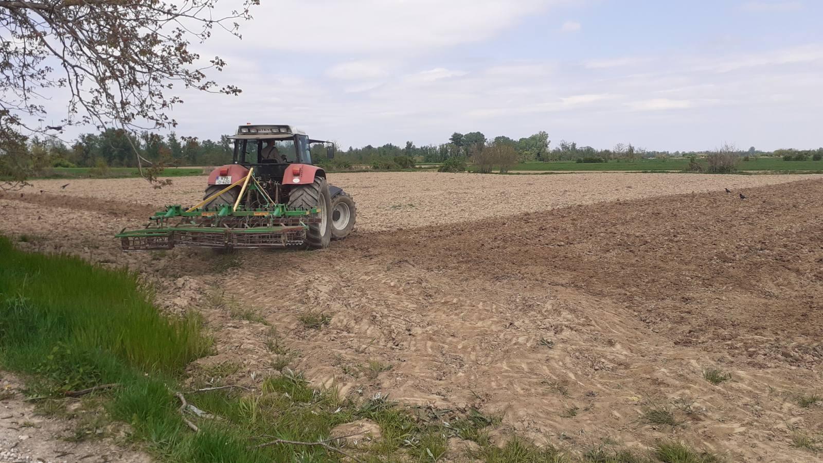 Počela sjetva na 1.400 dunuma širom BiH: Očekuju se stotine tona žita i kukuruza