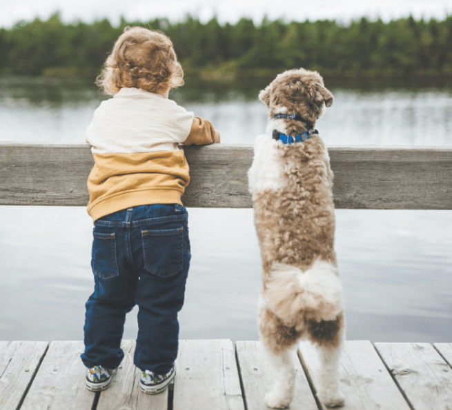 Važno je da roditelji nauče svoju djecu kako pravilno komunicirati sa psima - Avaz
