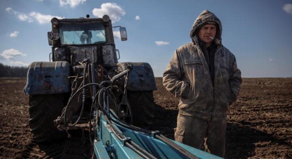 Velika Britanija traži rješenje kako izvesti žito iz Ukrajine