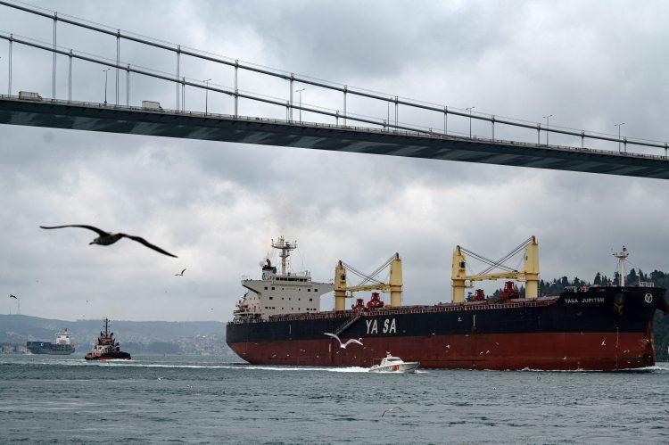 Moskva će dopustiti da brodovi sa žitom napuste Odesu