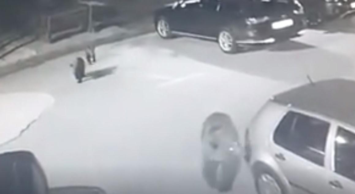 Video / Medvjed sa mladunčadima hoda parkingom na Bjelašnici