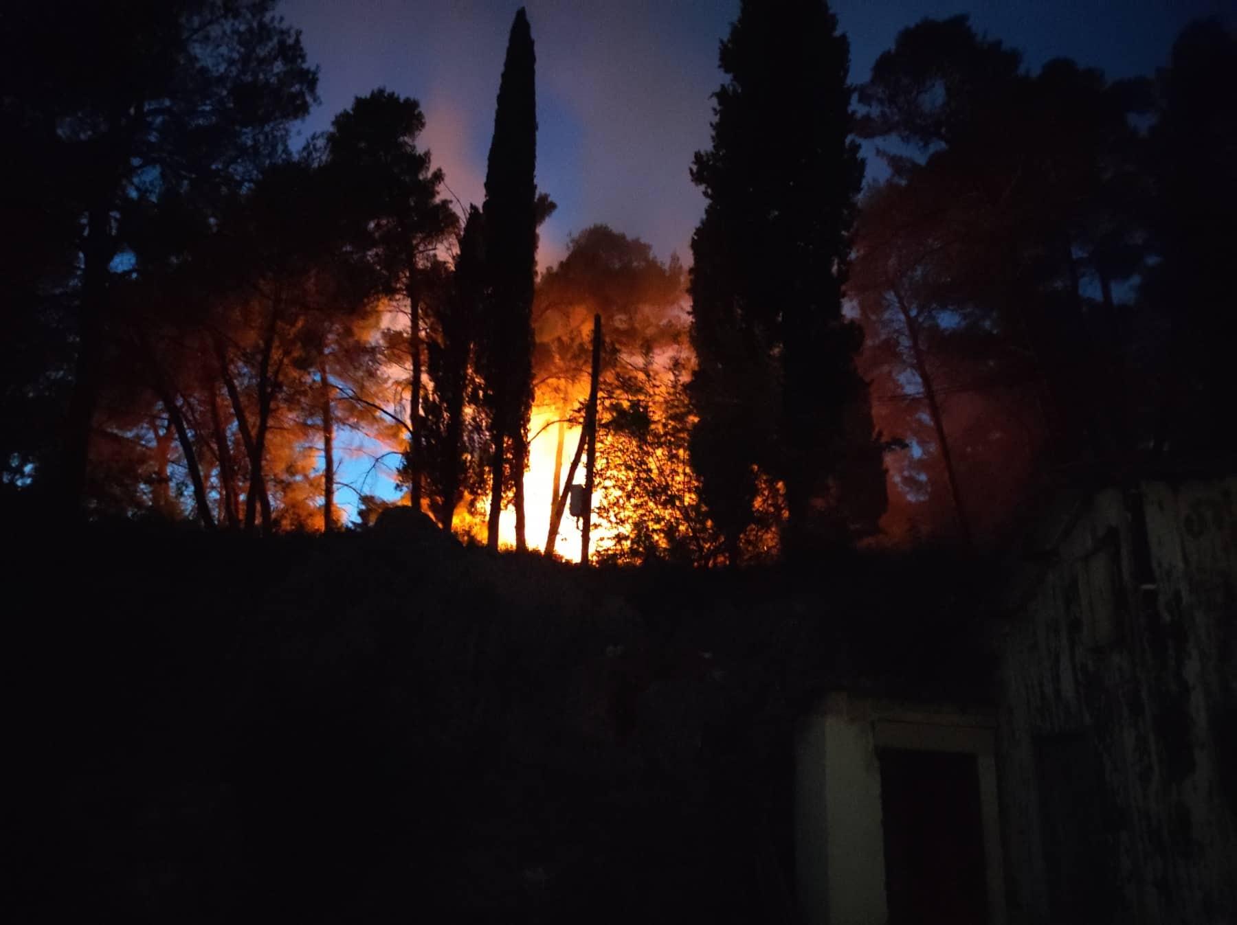 Požar u Podgorici - Avaz