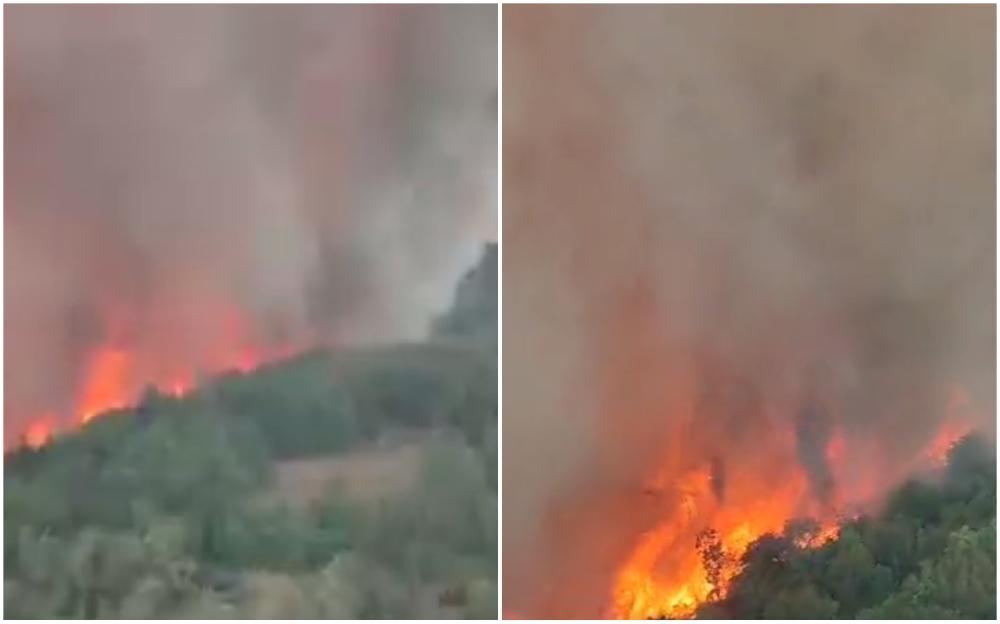Požar buknuo u Sloveniji: Vatrogasci već pet dana na terenu