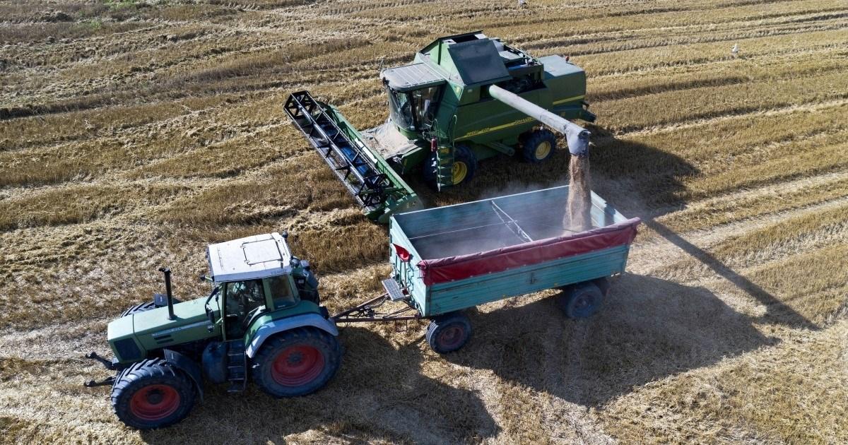 Ukrajina: Luke za izvoz žita biće spremne za dvije sedmice