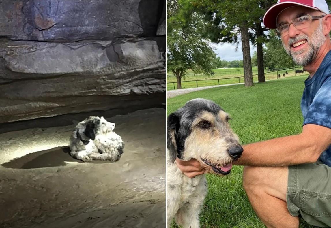 Trinaestogodišnji pas pronađen u pećini nakon dva mjeseca potrage