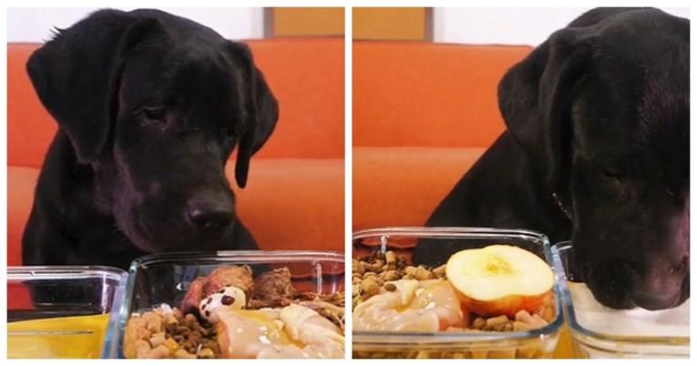 Pas uživa u hrani - Avaz
