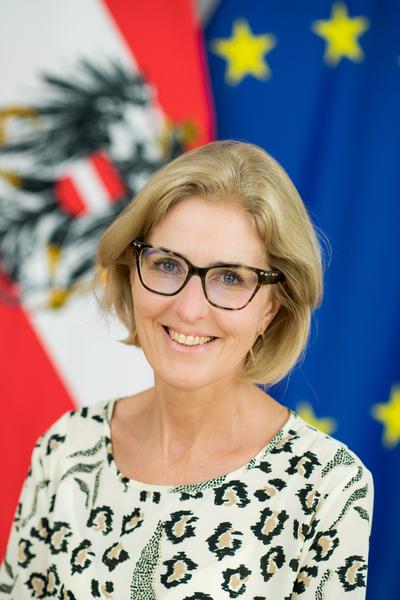 Austrijska ambasada u Sarajevu poručila: Uvijek smo bili na strani BiH, podržavamo je kao kandidata za članstvo EU