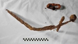 Čovjek u svom dvorištu iskopao 1.000 godina star mač iz švedskih krstaških ratova