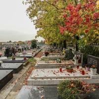 Na zagrebačkom groblju vandali otvarali grobnice pajserima: Tražili dragocjenosti