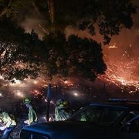 Zbog šumskog požara u Nju Meksiku bit će evakuisano 7.000 ljudi