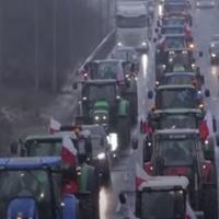 Poljoprivrednici iz istočne Evrope planiraju zajedničku akciju protiv politike EU
