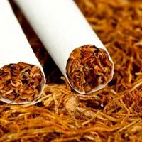 Duhanski div mora platiti kaznu od 635 miliona dolara