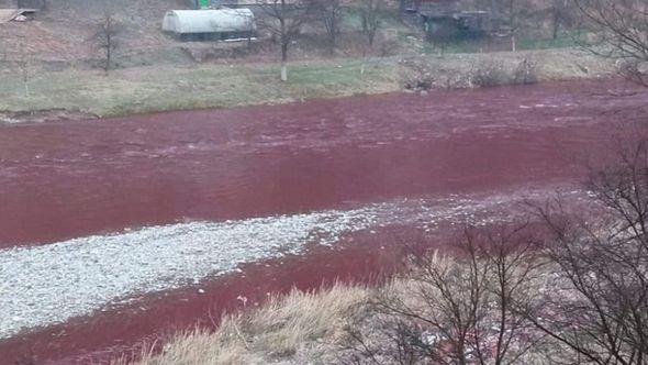 Crvena Bosna - Avaz