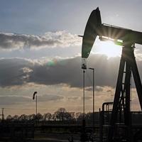 Saudijska Arabija otkrila nova velika nalazišta nafte i plina