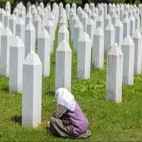 Trenutno osam identificiranih žrtava genocida za ukop 11. jula u Potočarima

