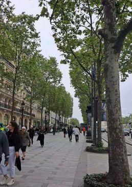Najpoznatija pariska avenija Šanzelize počinje kod Trijumfalne kapije, a završava na najvećem pariskom trgu Konkord - Avaz
