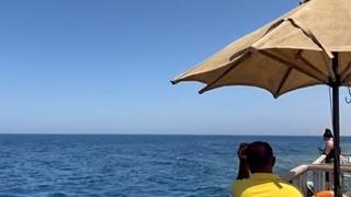 Zapanjujući prizori u Egiptu: Ovo je jedini dio mora u Hurgadi gdje turisti smiju plivati i roniti 