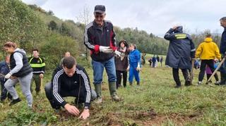 Vlada i Šume Tuzlanskog kantona pokrenule ekološki megaprojekat pošumljavanja