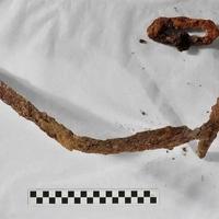 Čovjek u svom dvorištu iskopao 1.000 godina star mač iz švedskih krstaških ratova