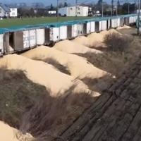 Poljski farmeri uništili 140 tona ukrajinske pšenice