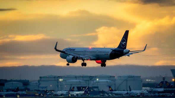 An aircraft lands at the international airport in Frankfurt, Germany - Avaz