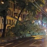 Nekoliko oborenih stabala i stubova ulične rasvjete, bilans nevremena u KS tokom protekle noći