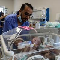 Palestinski Crveni polumjesec: Prebacili smo 31 prijevremeno rođenu bebu na jug Gaze