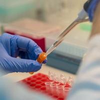 Laboratorijska biomedicina novi studijski program mostarskog Farmaceutskog fakulteta
