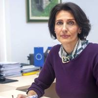 Elvira Habota, direktorica DEIBiH, za "Avaz": Spremni smo za početak pregovora s EU