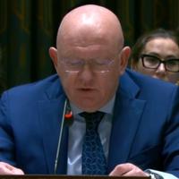 Video / Dio govora predstavnika Rusije u Vijeću sigurnosti UN-a u kojem je rekao da je u Srebrenici bio genocid