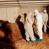 Afera "Tunel": Počela saslušanja, stiže DNK rudara mafije