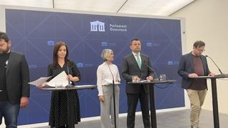 Hurtić s austrijskom parlamentarkom Evom Ernst – Džiedžić: Učestvovao u diskusiji o ljudskim pravima migranata