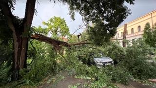 Olujno nevrijeme u Tuzli: Vjetar obara stabla, nosi krovove, jedna osoba povrijeđena