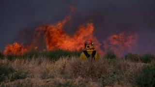 Šumski požar divlja u Kaliforniji: Evakuirano 1.200 ljudi, širi se munjevitom brzinom