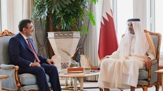 Potpredsjednik Turske i katarski emir razgovarali o produbljivanju ekonomske saradnje