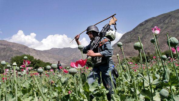 Afganistan: Porasla trogvina metamfetaminom - Avaz