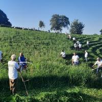 U srednjovjekovnom gradu Sokolu održana "Kosijada 2023": Za tri sata pokosili parcelu od 16 dunuma