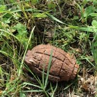 U Rijeci pronađena zaostala bomba iz Drugog svjetskog rata