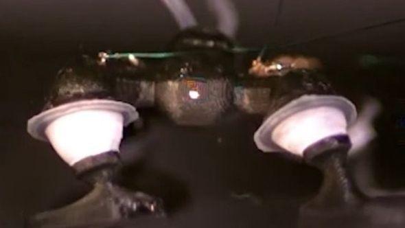 Žaboliki robot koji pokreće udove malim eksplozijama - Avaz