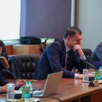 Revidirati Akcijski plan za provedbu presude "Sejdić-Finci"