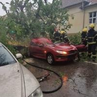 Tragedija u Srbiji: Usljed nevremena poginula žena, stablo palo na automobil i ubilo je
