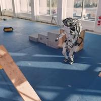 Robot Atlas spreman za poslove na građevini