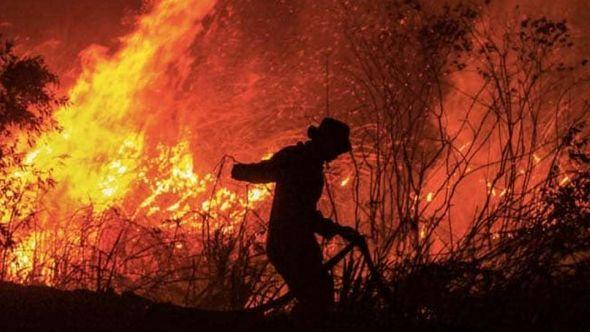 U požaru je uništeno oko 140 hektara zemljišta - Avaz