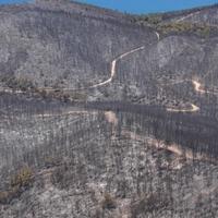 Požar opustošio šumsko područje u Izmiru