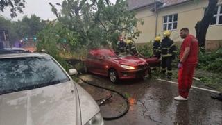 Tragedija u Srbiji: Usljed nevremena poginula žena, stablo palo na automobil i ubilo je