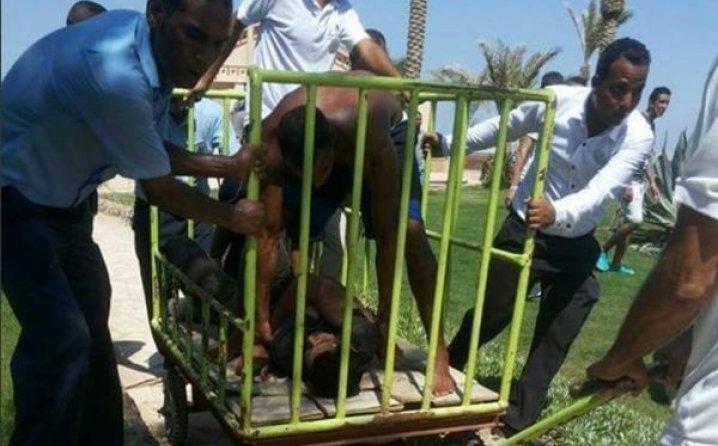 Ovo je monstrum koji je napao turiste na plaži: Nakon krvavog pira, stavili ga u kavez!