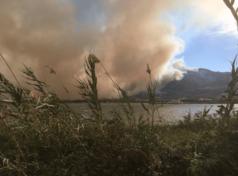 Gori i kod Nice: Planuo šumski požar, u toku evakuacija