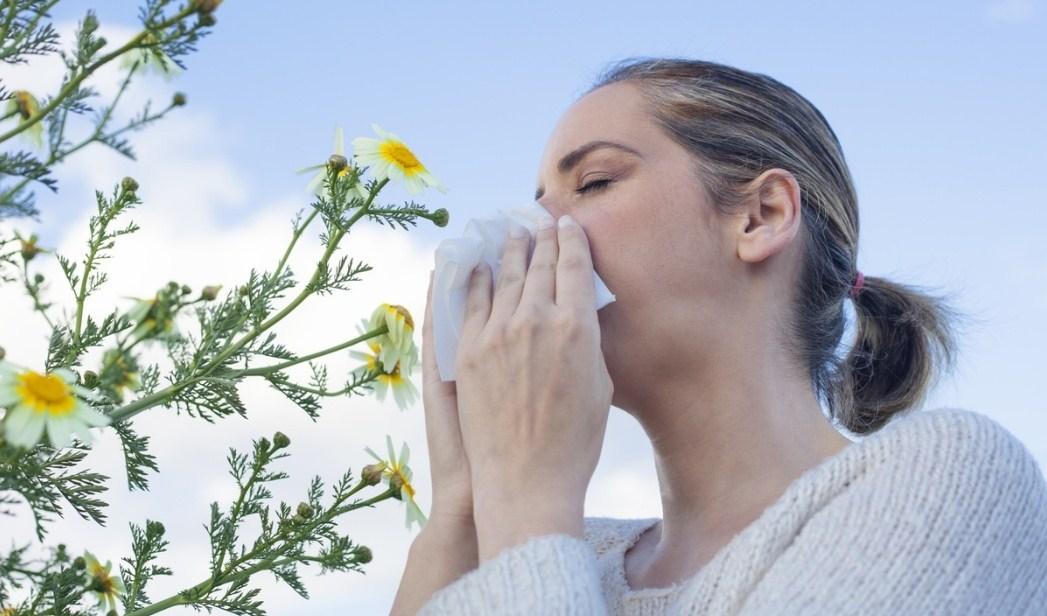 Limun, luk i orasi: Tri kućna lijeka protiv alergija
